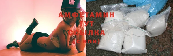 шишки Аркадак