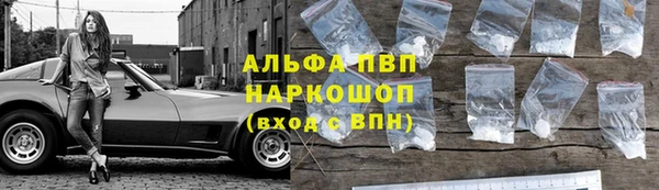 шишки Аркадак