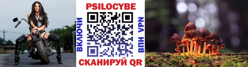Псилоцибиновые грибы мицелий Луза
